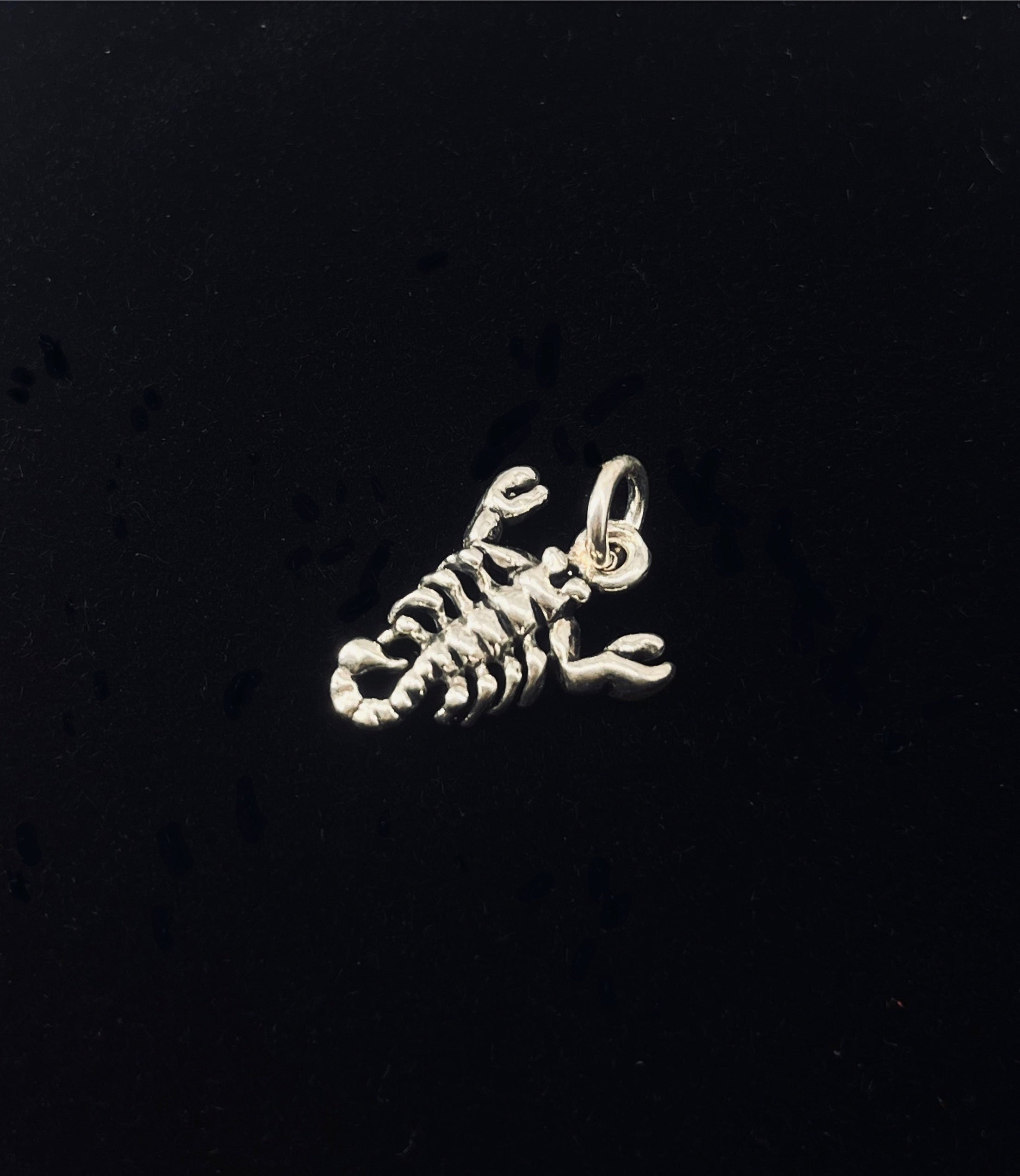 Scorpion Pendant